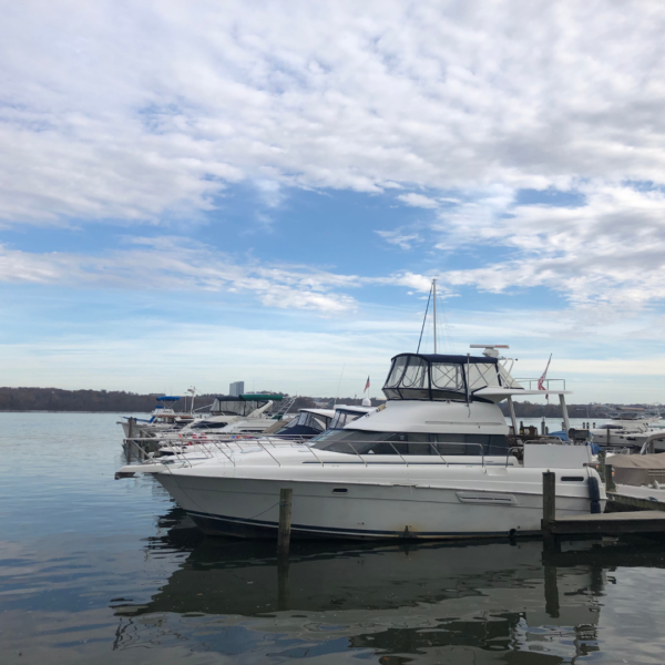 Belle Haven Alexandria Virginia Lifestyle